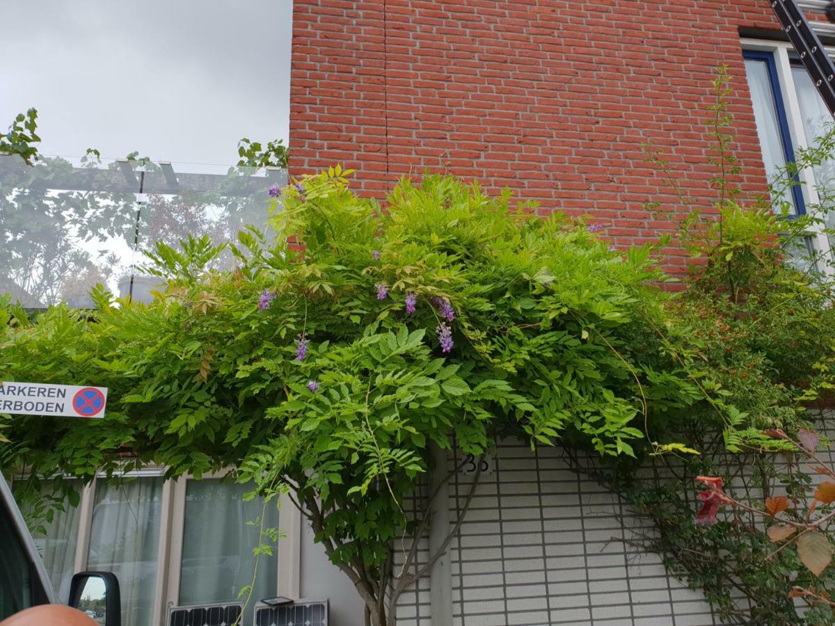 Johan'S B&B, Dakterras & Goedkoop Parkeren - Sinds 2014 Amsterdam Eksteriør bilde